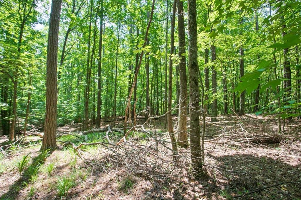 Lot20 A Tanglewood Road Newnan, GA 30263 - Photo 6 of 17