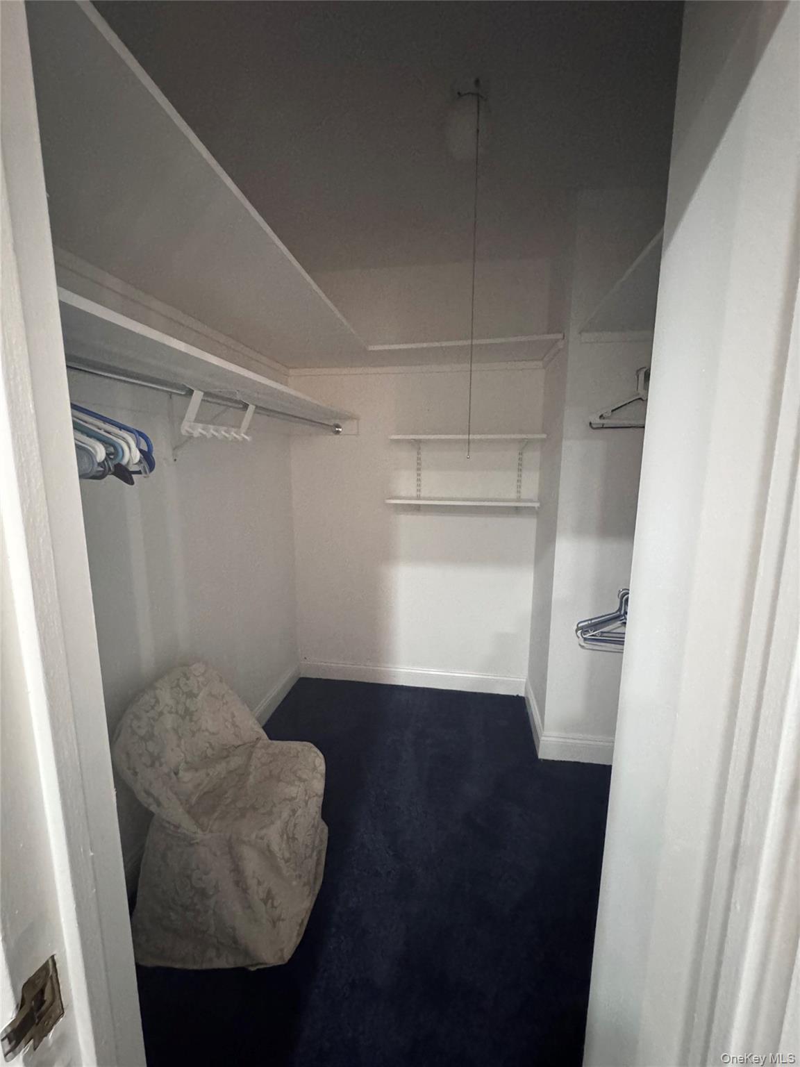 269 Grand Central Parkway, Unit 2C Queens, NY 11005 - Photo 8 of 18 View of walk in closet