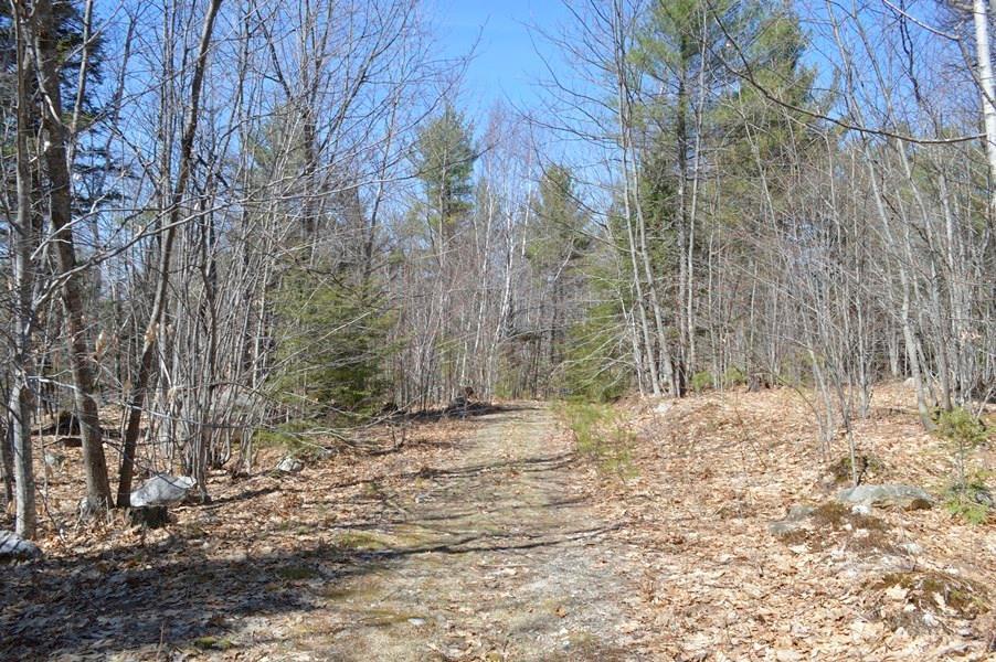 Lot 59 North Shore Road Gray, ME 04039 - Photo 19 of 22 Photo