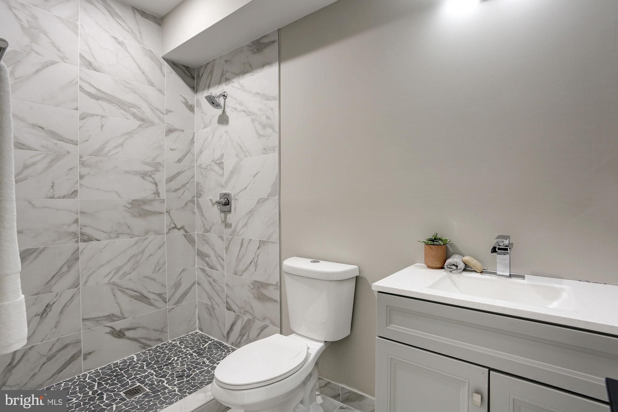 1040 Bladensburg Road Northeast, Unit 2A Washington, DC 20002 - Photo 6 of 11 with ensuite