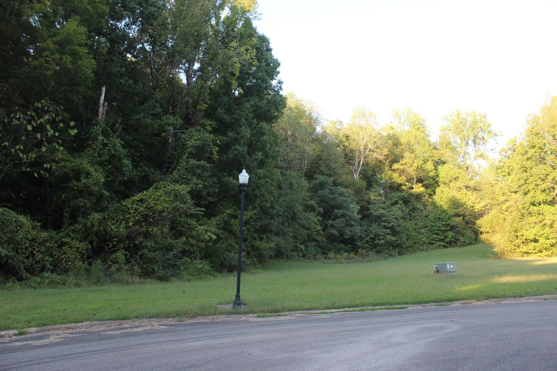 Lot 28 Chateau Rounds New Albany, MS 38652 - Photo 6 of 11 Gallery Image 6
