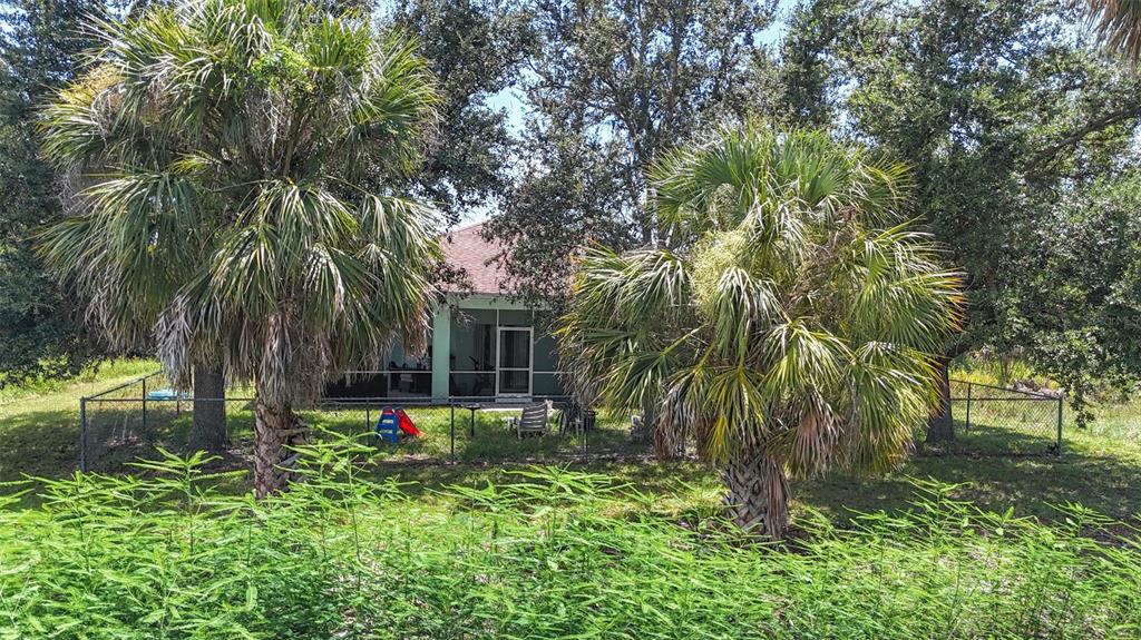 394 Sunset Road Rotonda West, FL 33947 - Photo 36 of 41 a backyard of a house with lots of green space