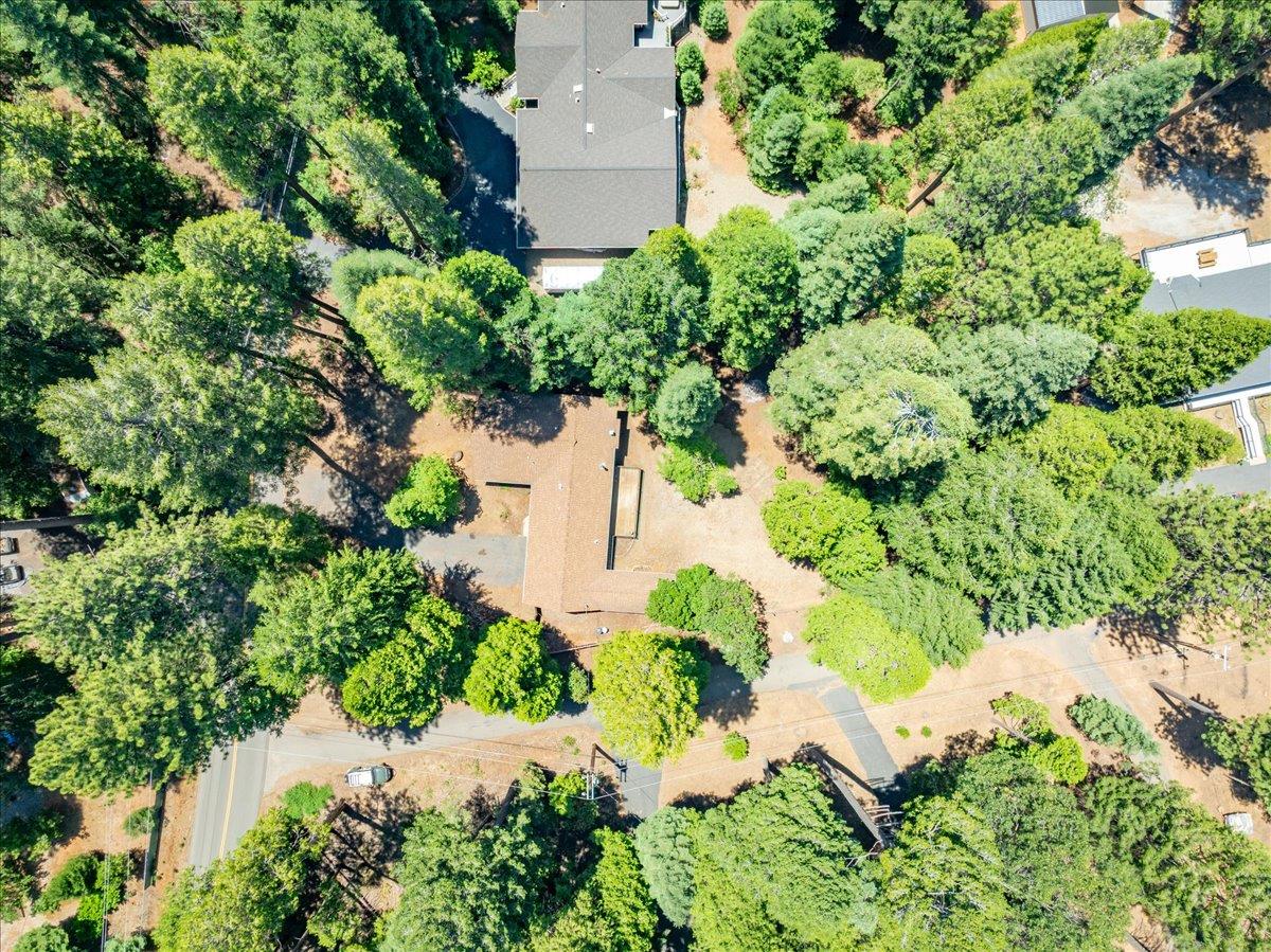 2226 Blair Road Pollock Pines, CA 95726 - Photo 56 of 58
