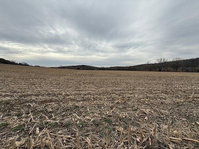 10.60-acres North 800 Road Baldwin City, KS 66006 - Photo 3 of 5