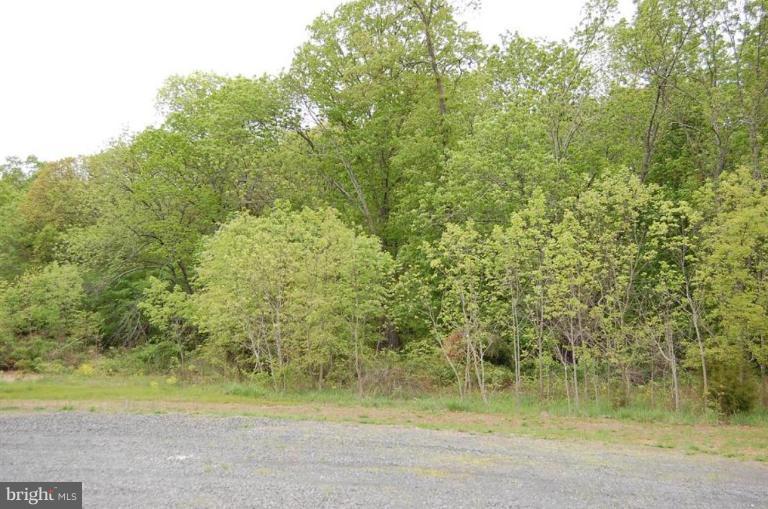 11400 Morgan Ridge Road Nokesville, VA 20181 - Photo 1 of 1 Exterior (Main)