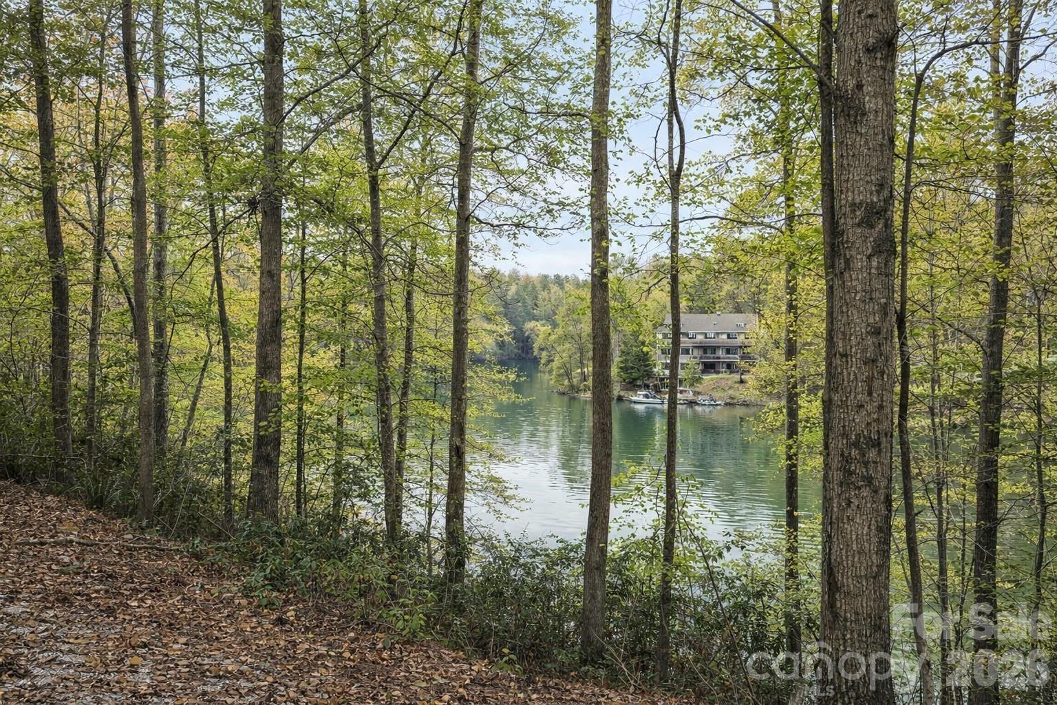 0 Lake Adger Parkway, Unit LOT 7 Mill Spring, NC 28756 - Photo 4 of 8