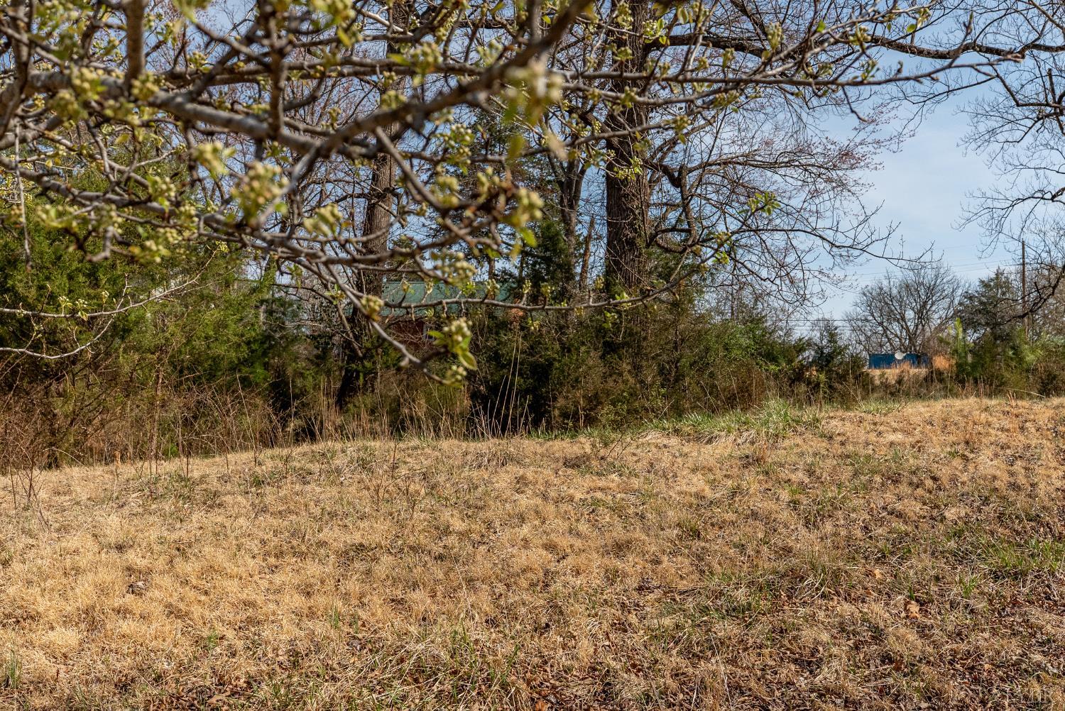 0 Ridge Drive Amherst, VA 24521 - Photo 27 of 38 Gallery Image 27