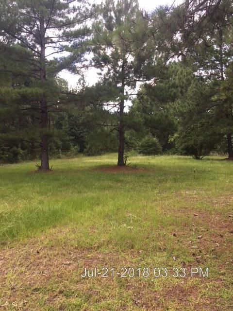 2459 Ranger Drive Cross, SC 29436 - Photo 16 of 16 IMG_1277