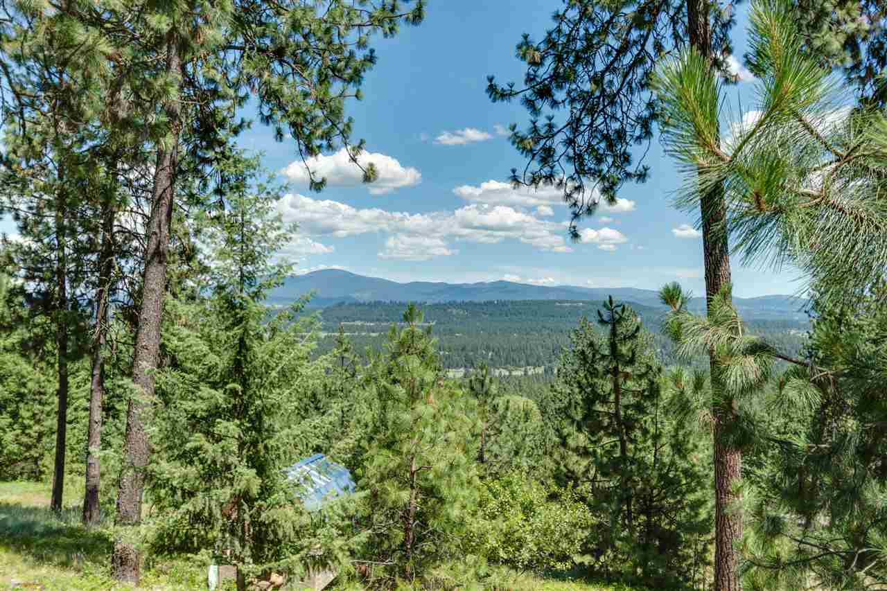 23509 North Perry Road Colbert, WA 99005 - Photo 16 of 20