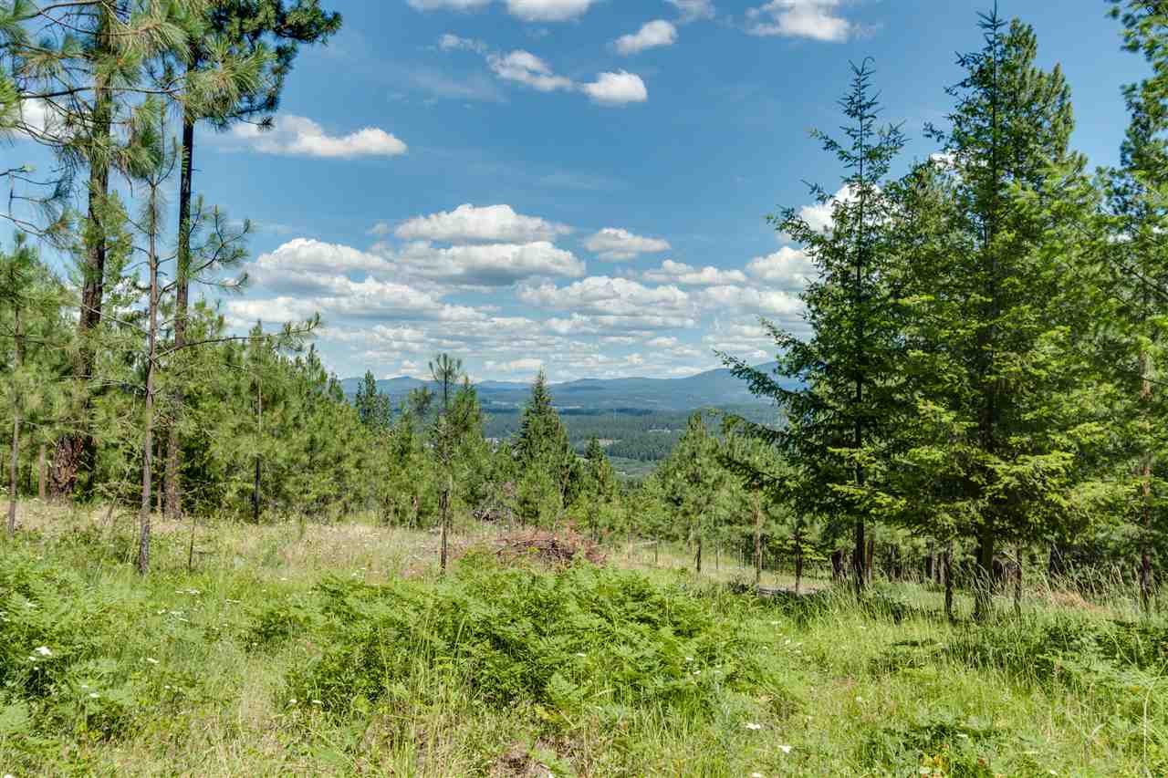 23509 North Perry Road Colbert, WA 99005 - Photo 18 of 20