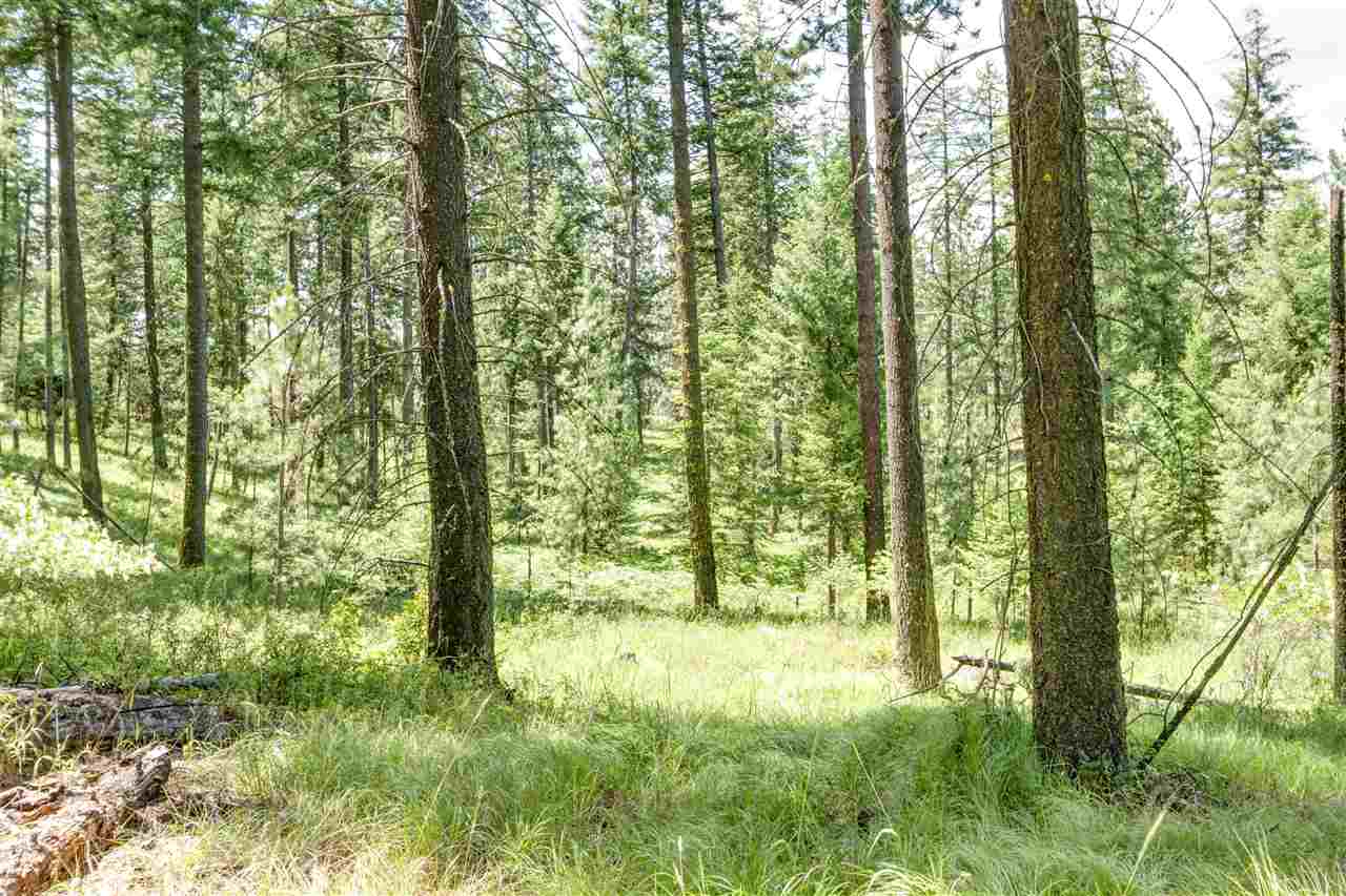 23509 North Perry Road Colbert, WA 99005 - Photo 19 of 20