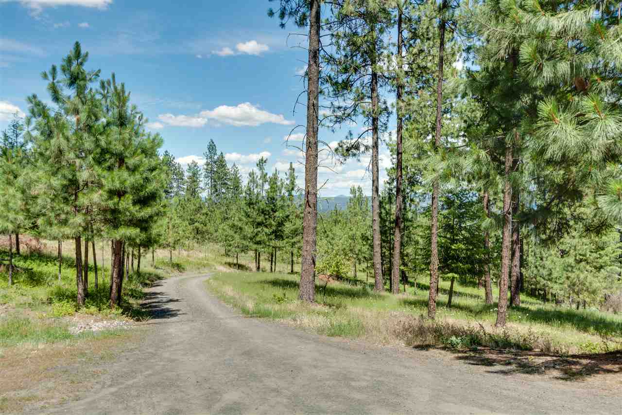 23509 North Perry Road Colbert, WA 99005 - Photo 20 of 20