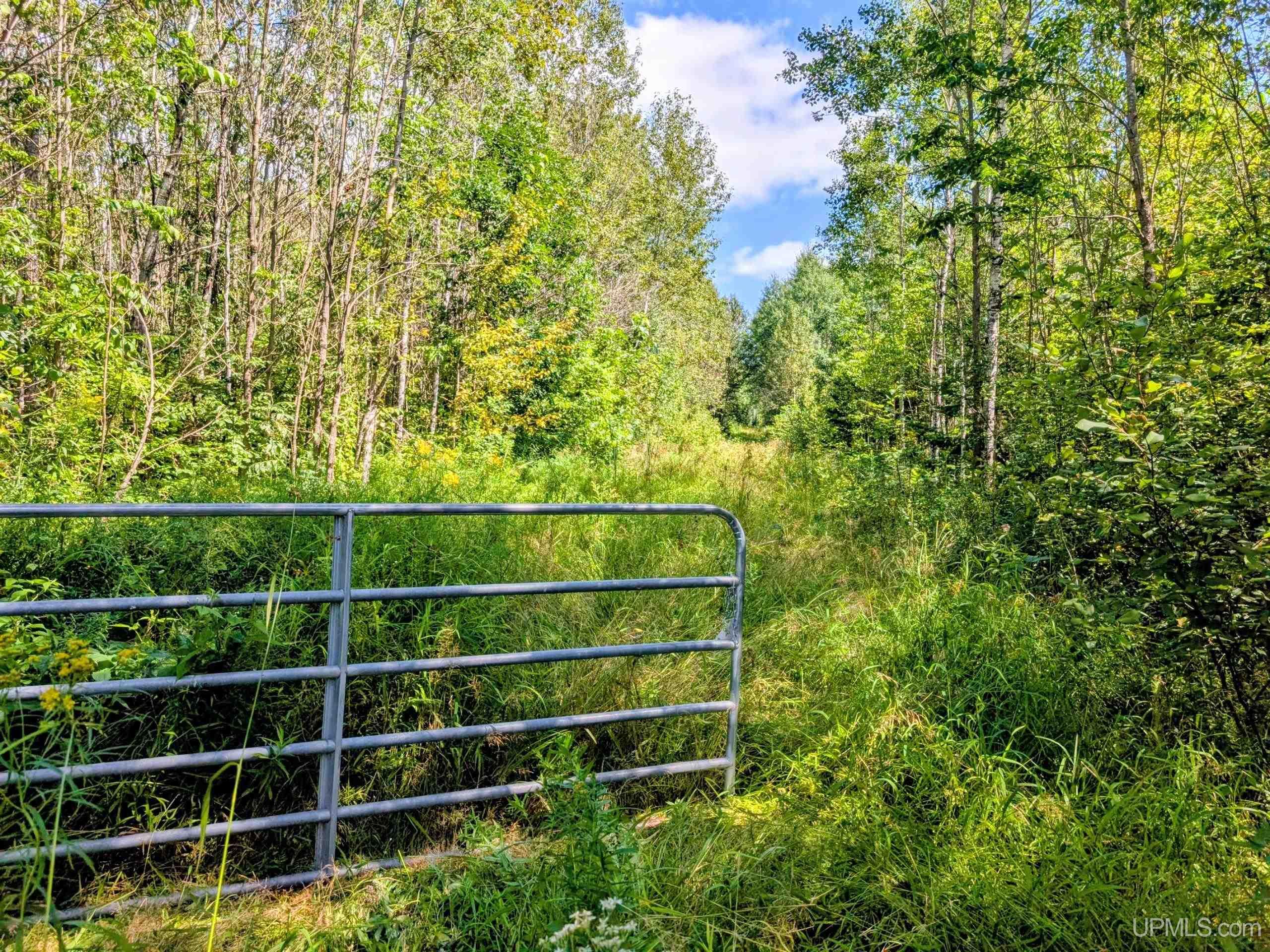 33-acres Off Net River Road Crystal Falls, MI 49920 - Photo 11 of 22