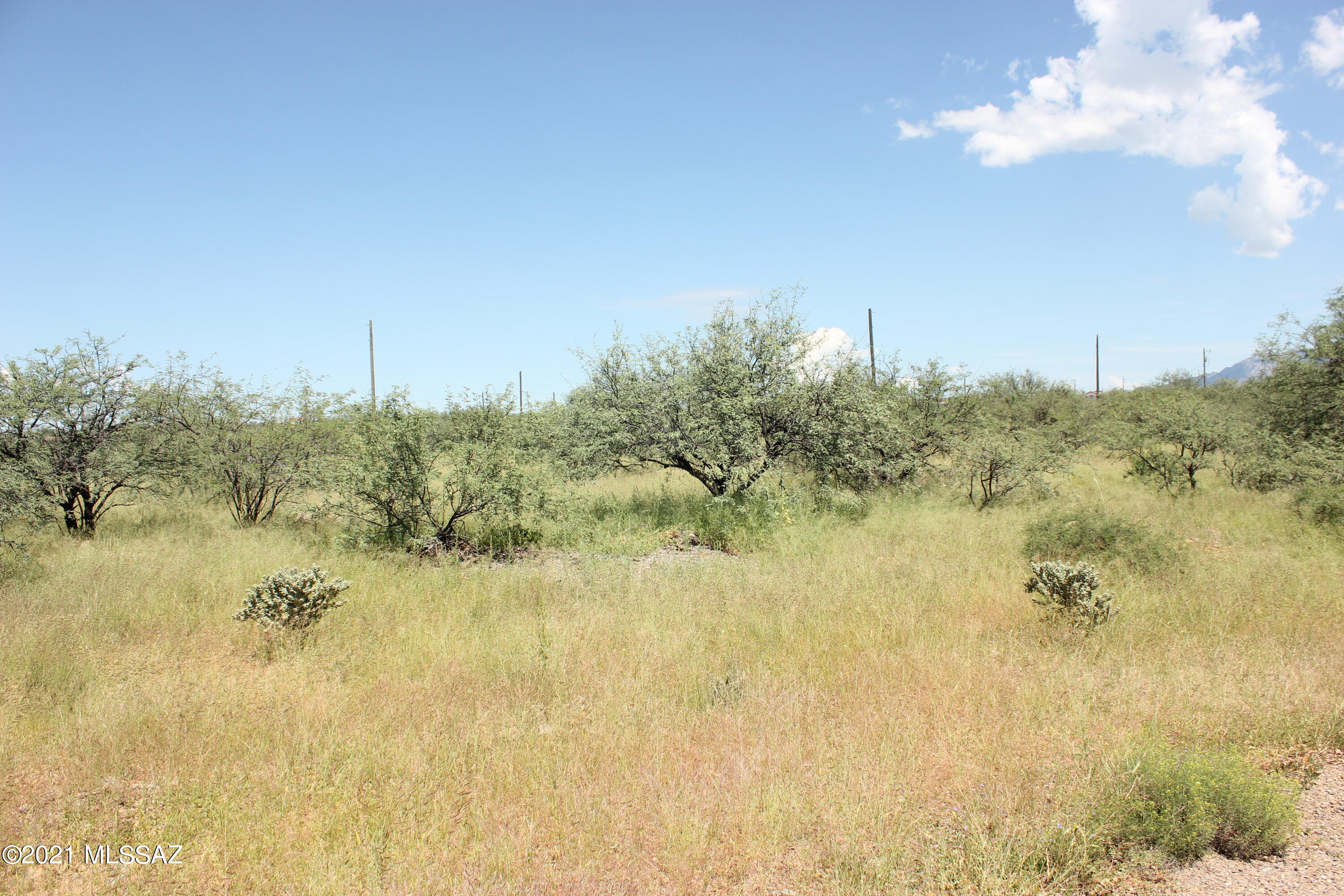 1826 Via Elias, Unit 30 Rio Rico, AZ 85648 - Photo 1 of 3