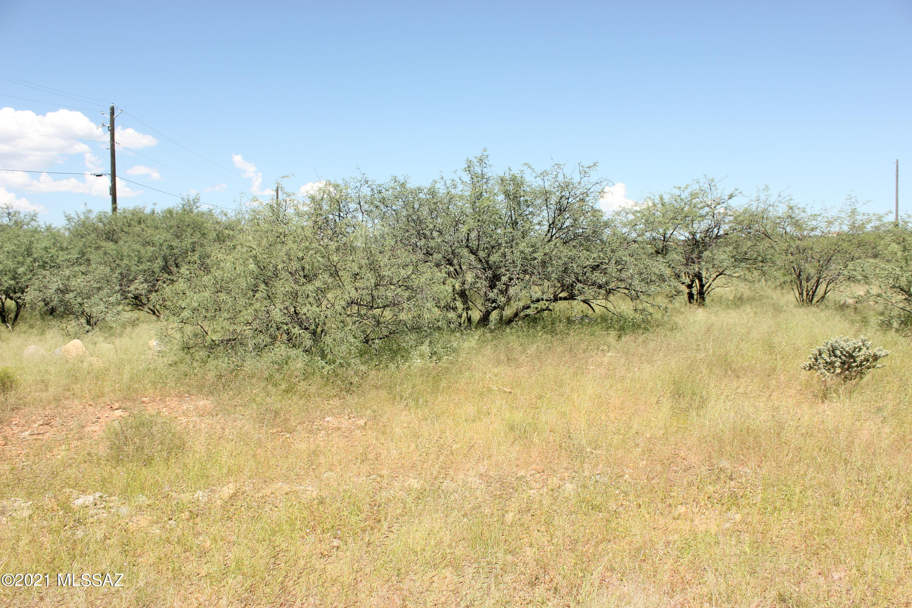 1826 Via Elias, Unit 30 Rio Rico, AZ 85648 - Photo 2 of 3