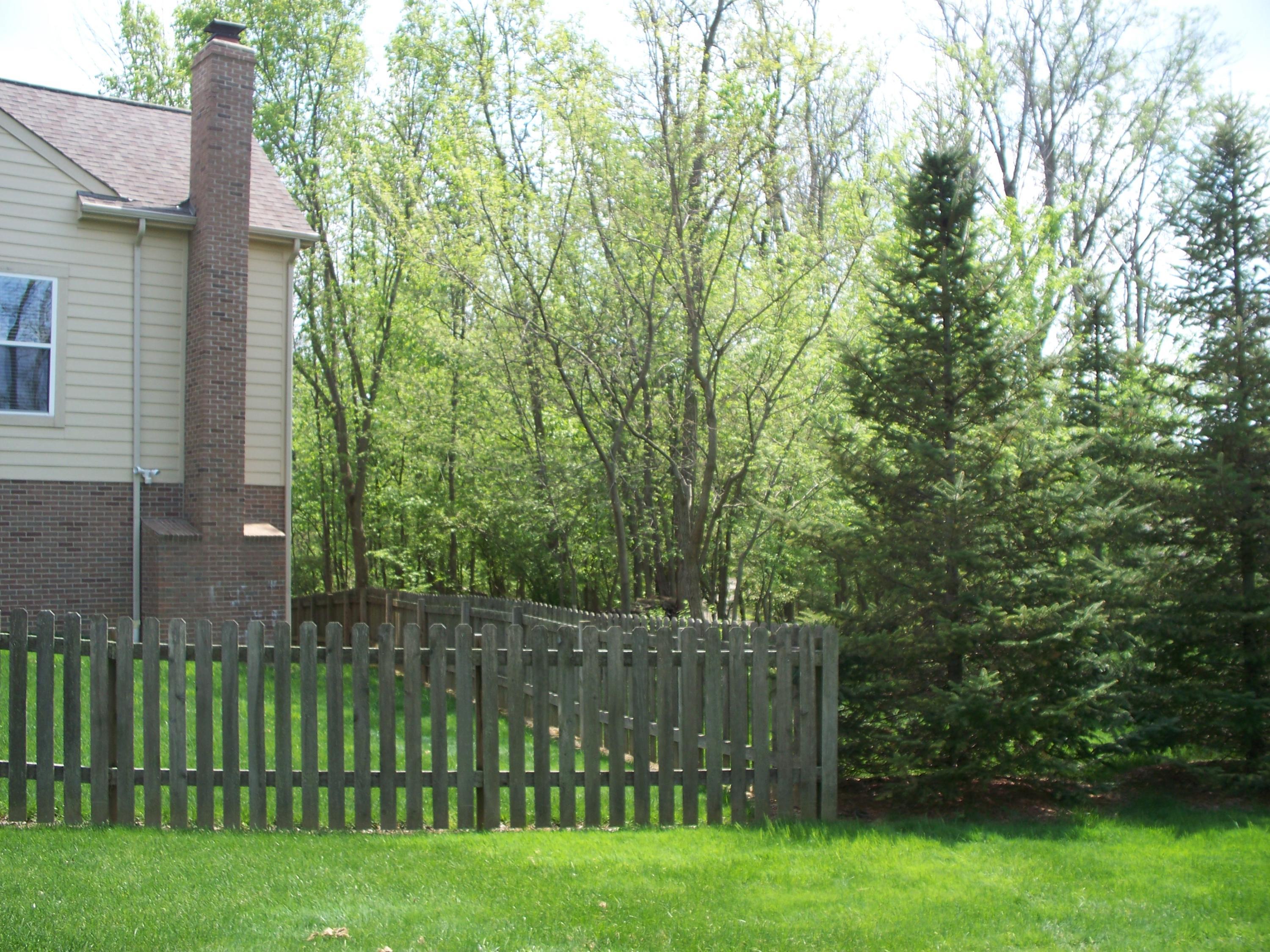 304 Halverston Road Powell, OH 43065 - Photo 3 of 36 Gallery Image 3