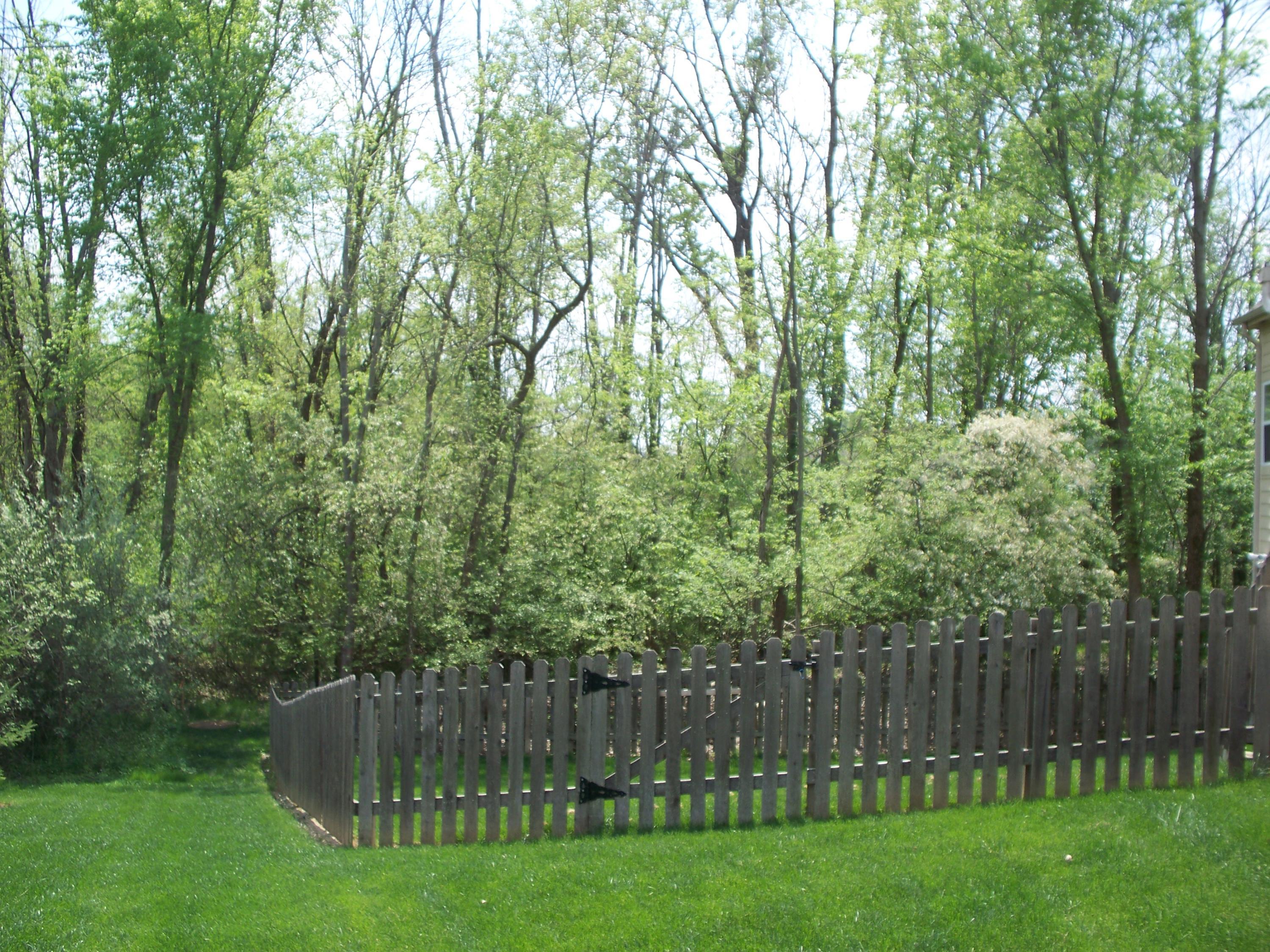 304 Halverston Road Powell, OH 43065 - Photo 35 of 36 Gallery Image 35