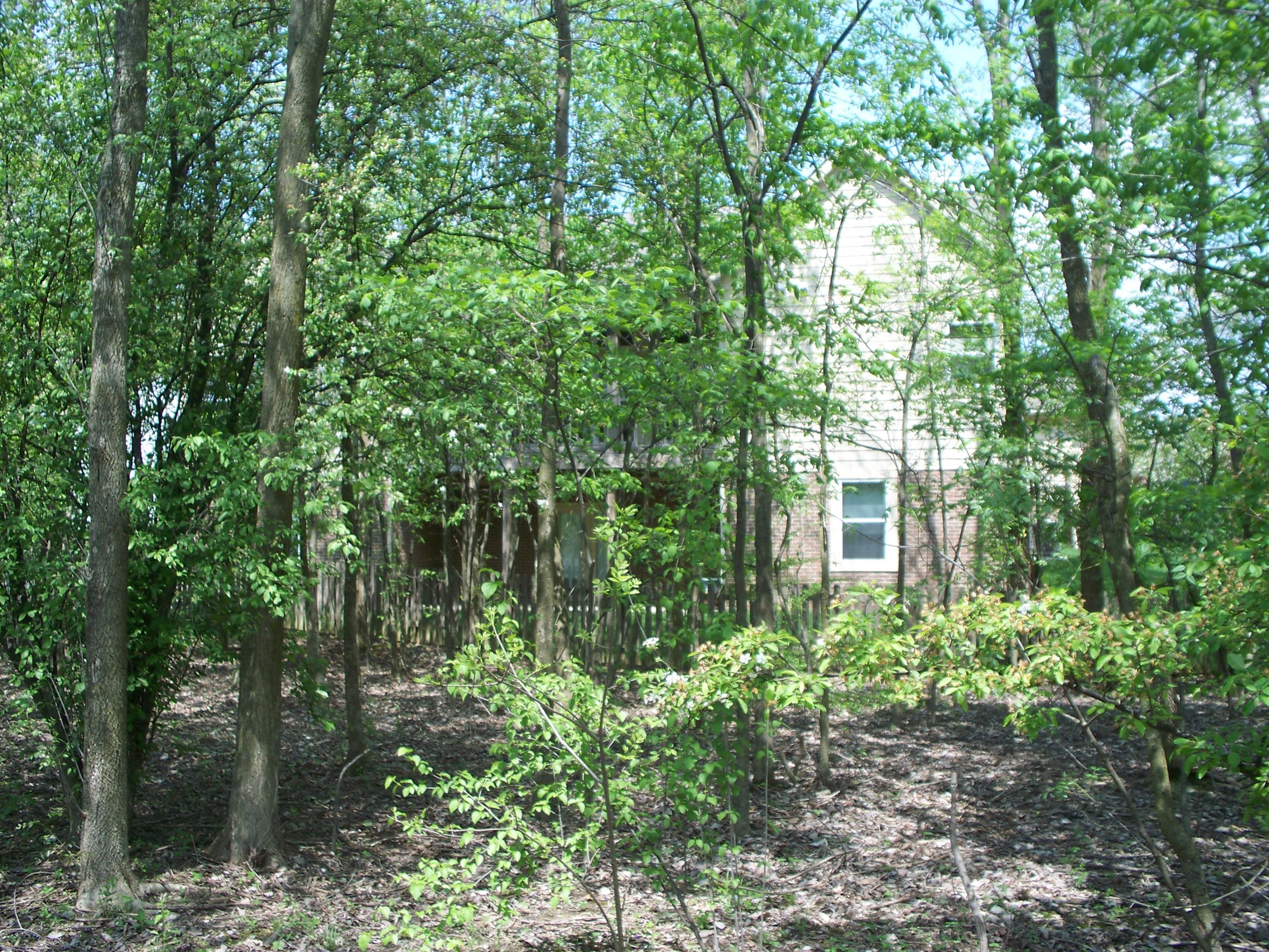 304 Halverston Road Powell, OH 43065 - Photo 7 of 36 Gallery Image 7