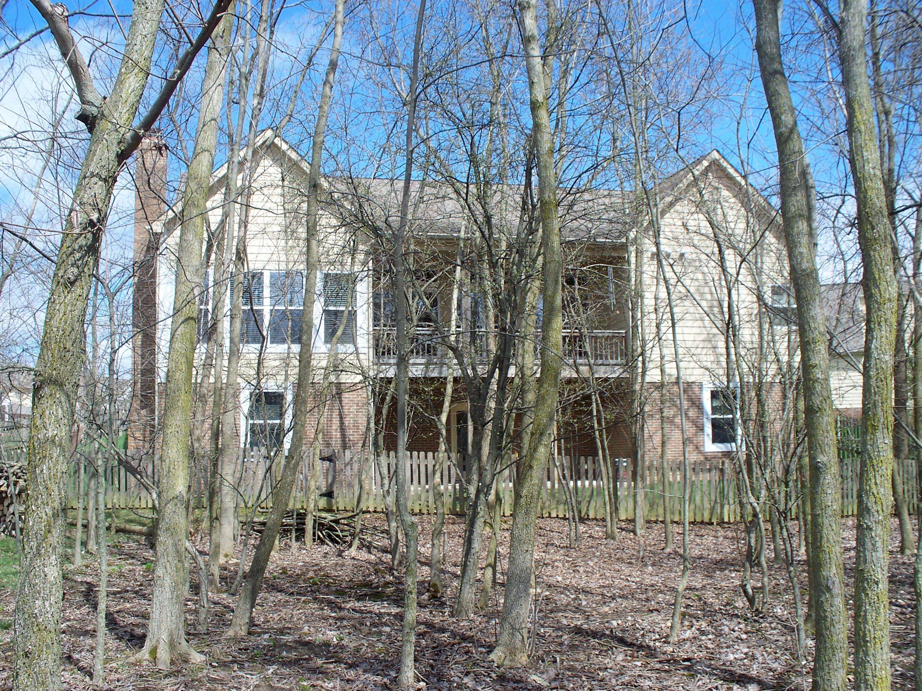304 Halverston Road Powell, OH 43065 - Photo 8 of 36 Gallery Image 8