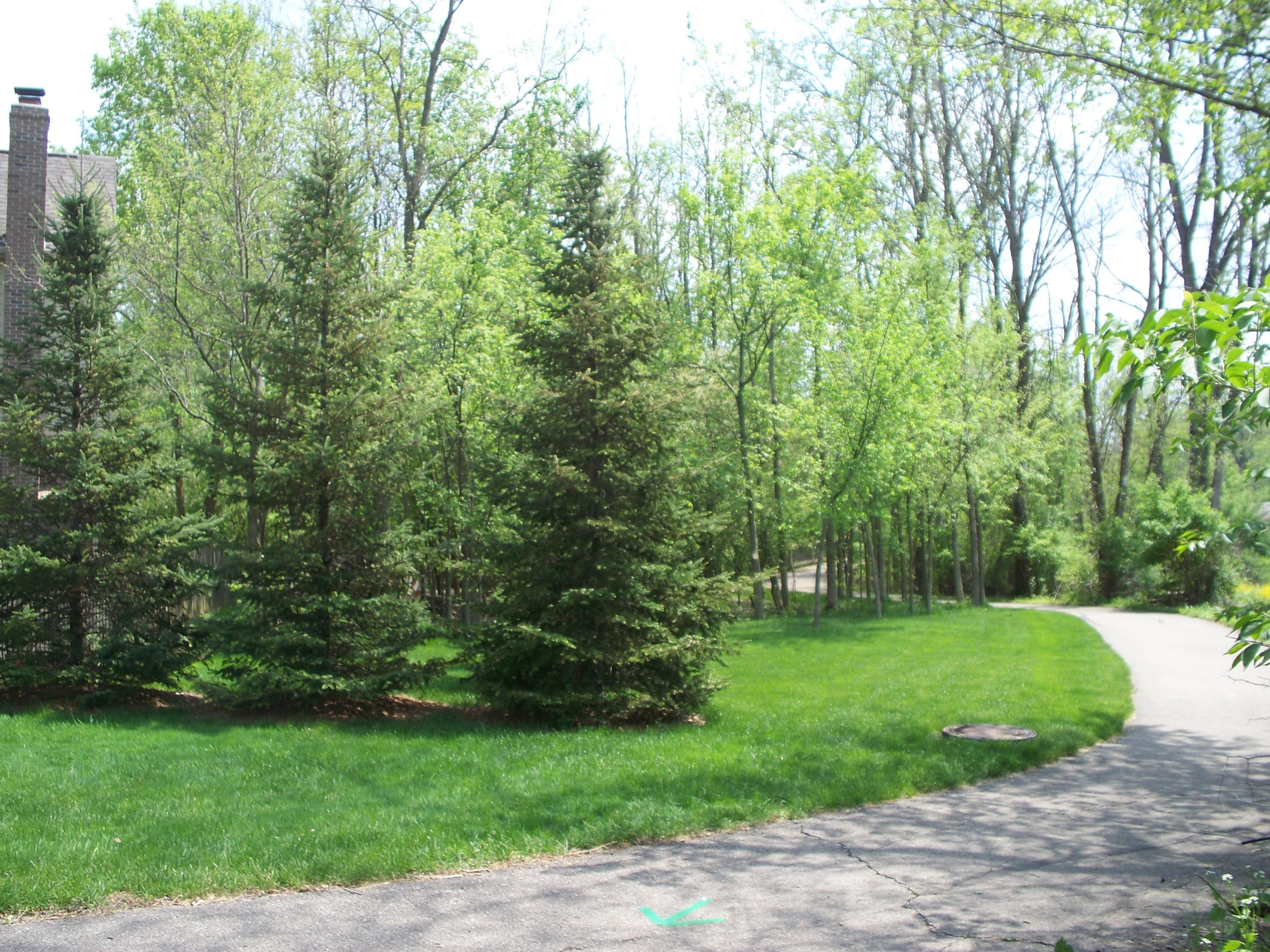 304 Halverston Road Powell, OH 43065 - Photo 9 of 36 Gallery Image 9