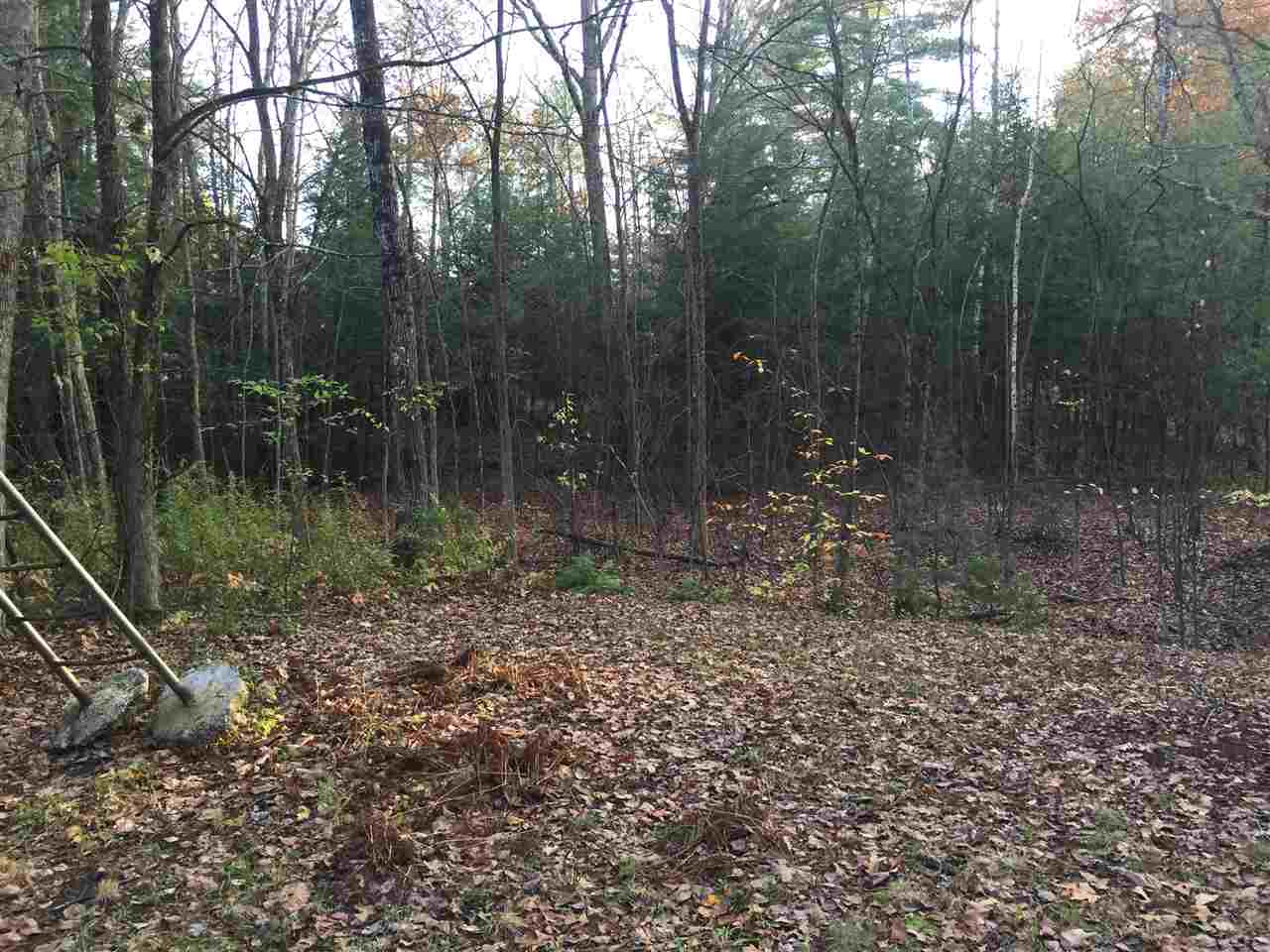 81 Shepard Home Road Chester, NH 03036 - Photo 29 of 29