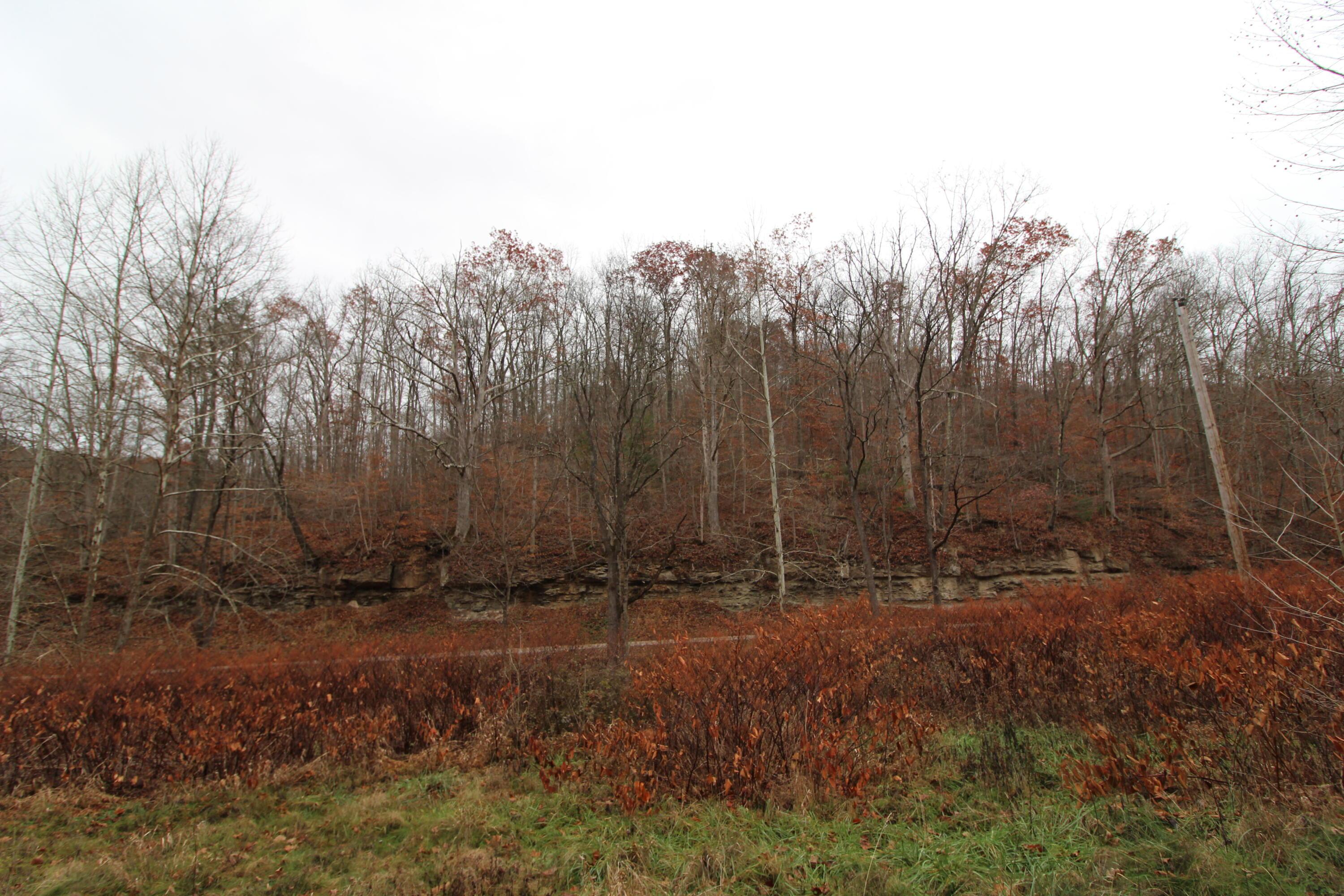 0 Wilson Run Road New Matamoras, OH 45767 - Photo 5 of 34 IMG_3549