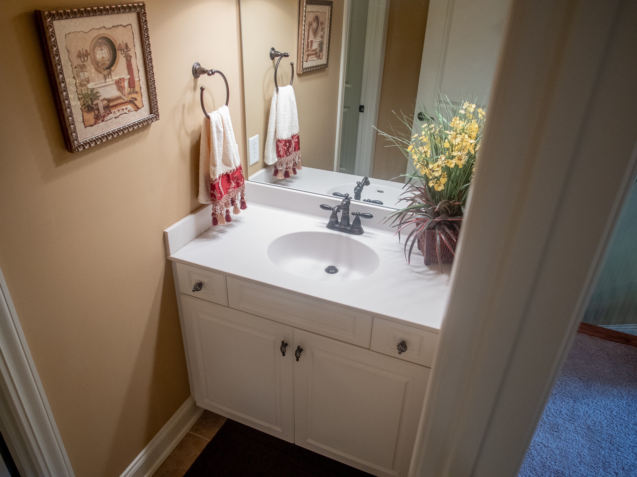 4205 Franklin Road Lebanon, TN 37090 - Photo 24 of 39 a bathroom with a sink and a mirror