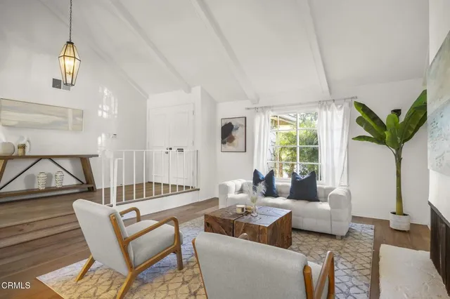 a living room with furniture a rug and a potted plant
