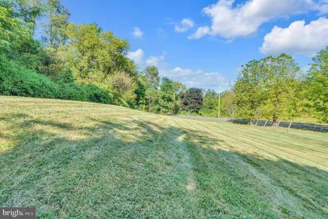 a big yard with lots of green space and plants