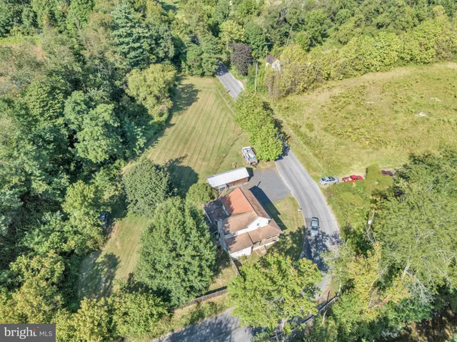 a view of a yard in a garden