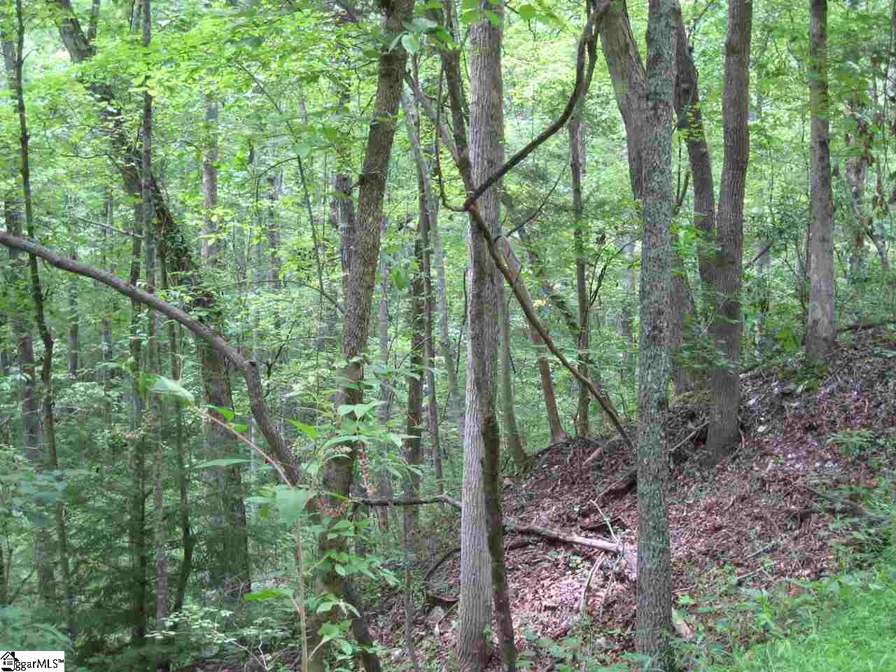 2162 Reece Mill Road Pickens, SC 29671 - Photo 5 of 7