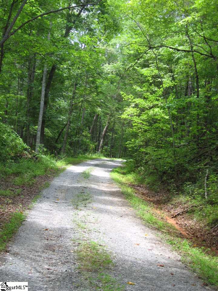 2162 Reece Mill Road Pickens, SC 29671 - Photo 7 of 7
