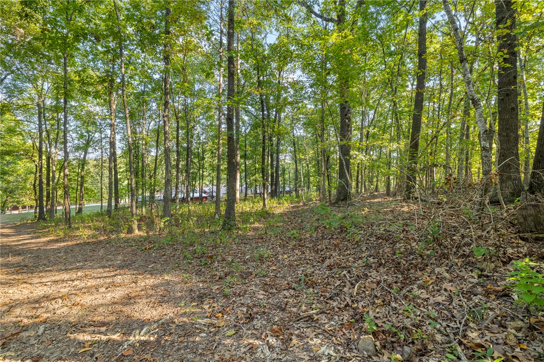 6832 NC 1300 Compton, AR 72624 - Photo 56 of 60 Gallery Image 56