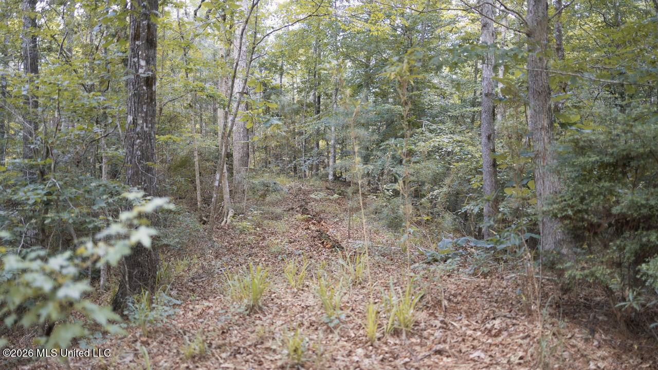Northwest Ben Briggs Road Northwest Roxie, MS 39661 - Photo 17 of 17 570A2234-2