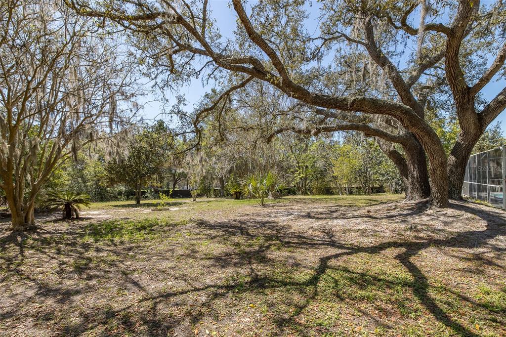 9474 Dunkirk Road Spring Hill, FL 34608 - Photo 49 of 53 Gallery Image 49