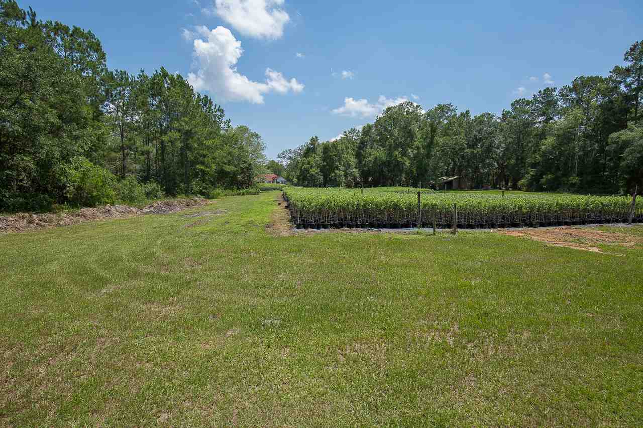 354 Tecumseh Road Monticello, FL 32344 - Photo 5 of 36 Gallery Image 5