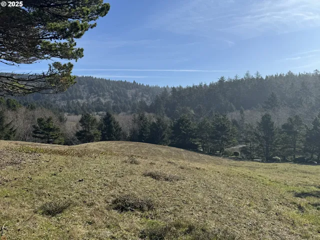 a view of a dry yard
