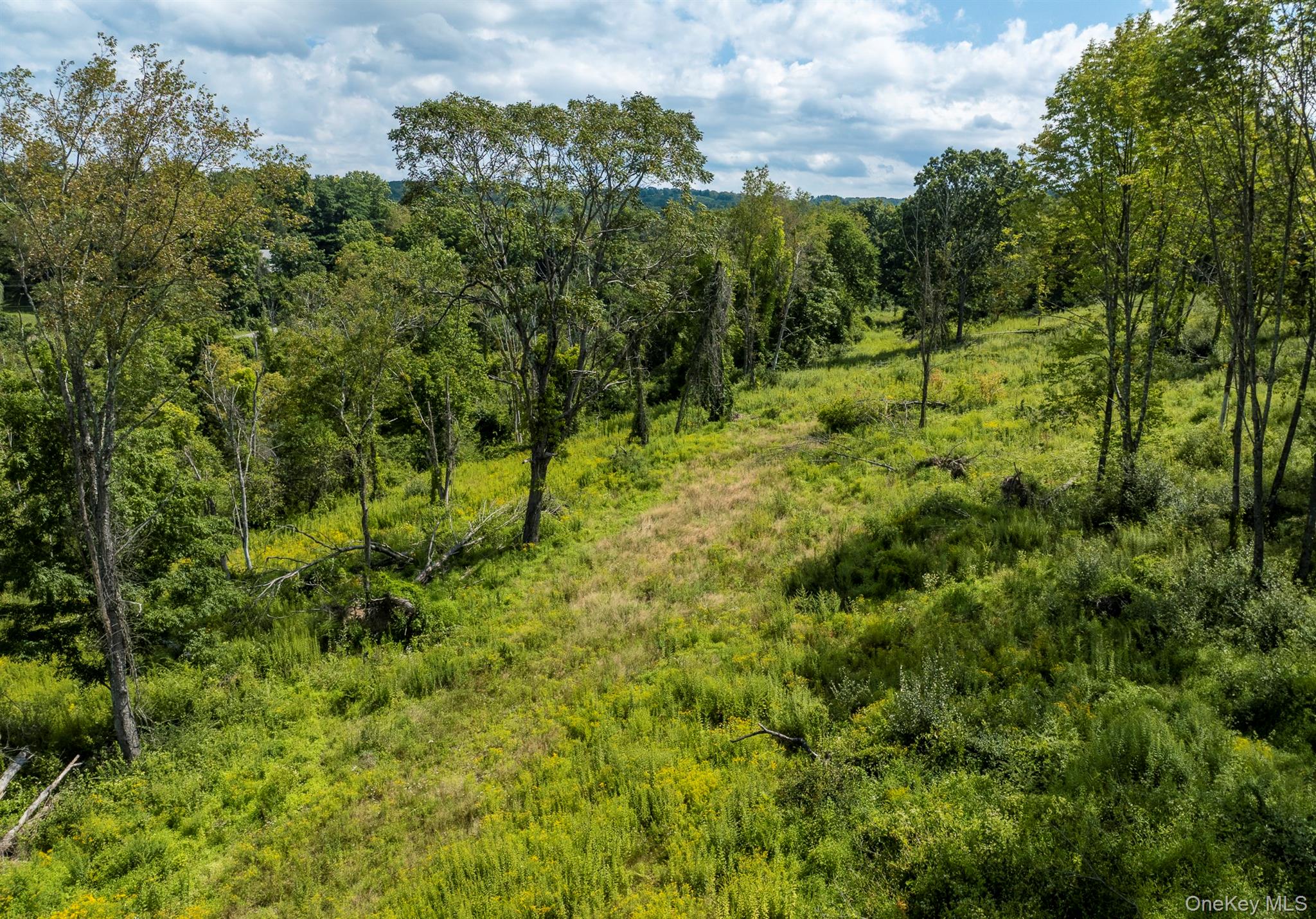 Camby Road Millbrook, NY 12545 - Photo 20 of 30 Gallery Image 20