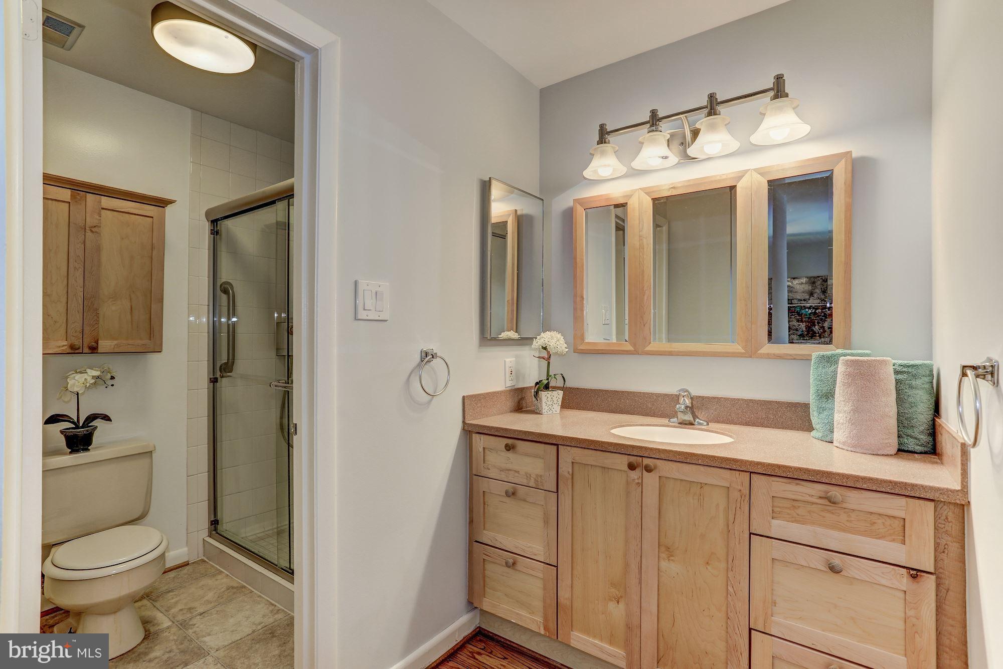 2031 Sarazen Place Reston, VA 20191 - Photo 14 of 30 Master Dressing Area and Bath