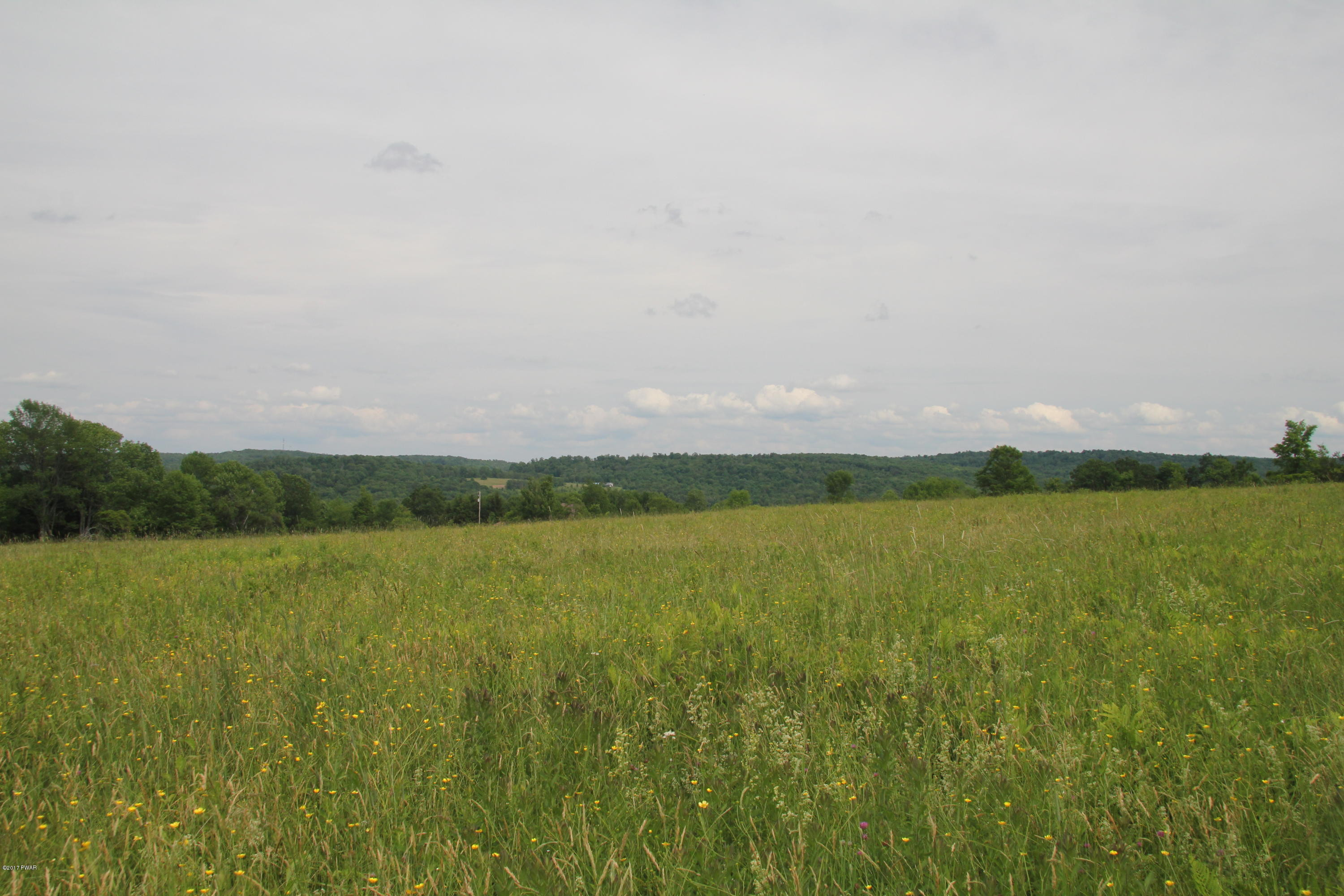 553 King Hill Road Starrucca, PA 18462 - Photo 2 of 11