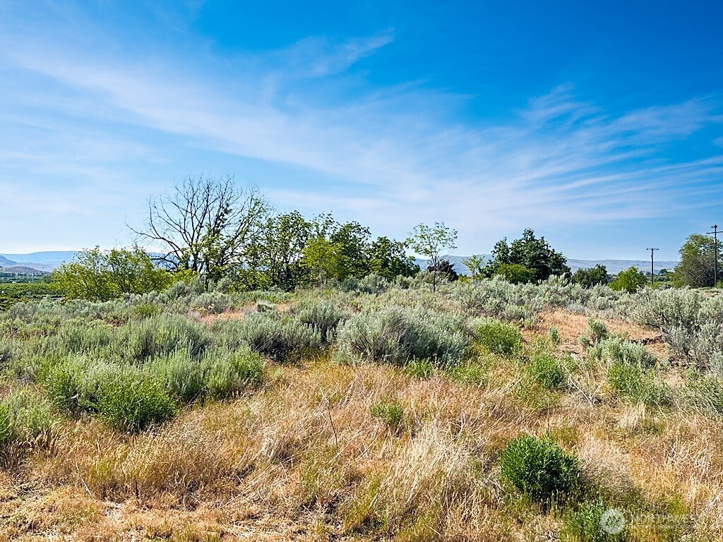 0 Lot 4 Freese Duck Lake Road Omak, WA 98841 - Photo 14 of 15