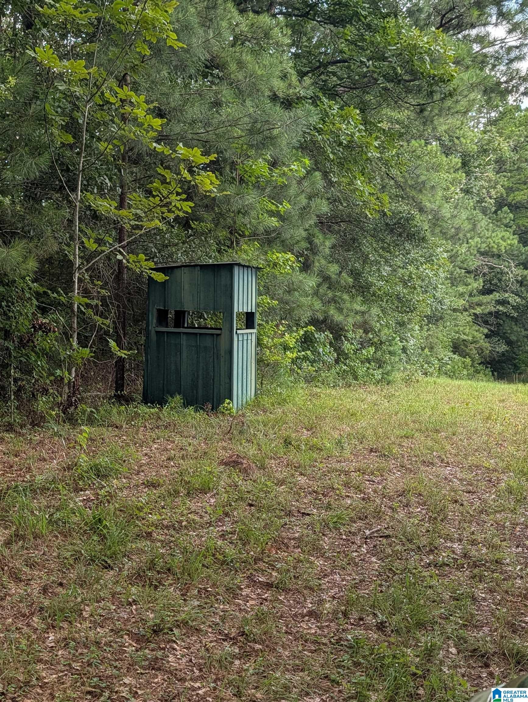 0 Barclay Road Alpine, AL 35014 - Photo 10 of 26 Gallery Image 10
