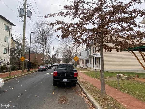 a view of a street with a large tree