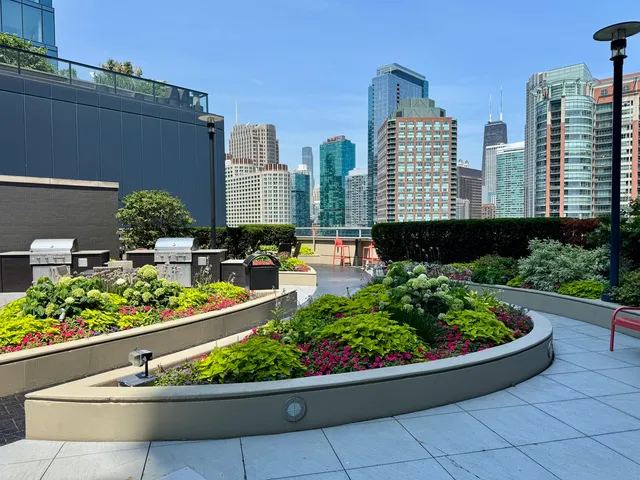 a view of a patio with couches and a potted plant