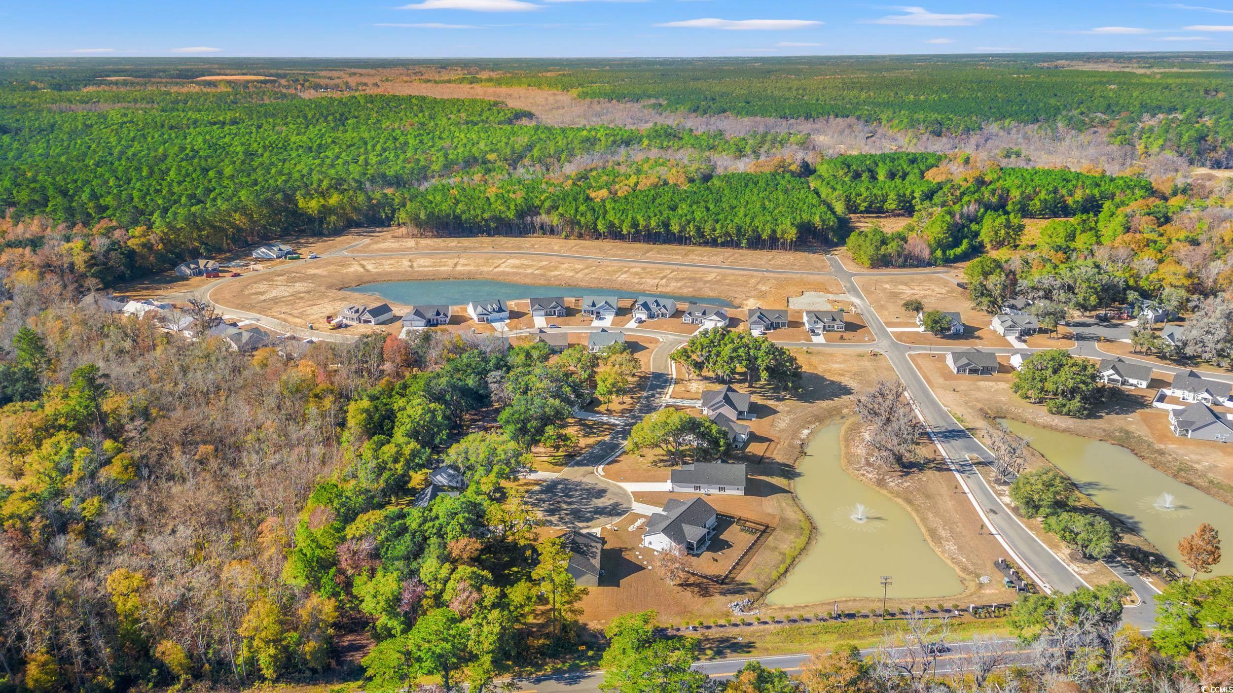 95 Double Pond Drive Georgetown, SC 29440 - Photo 25 of 34