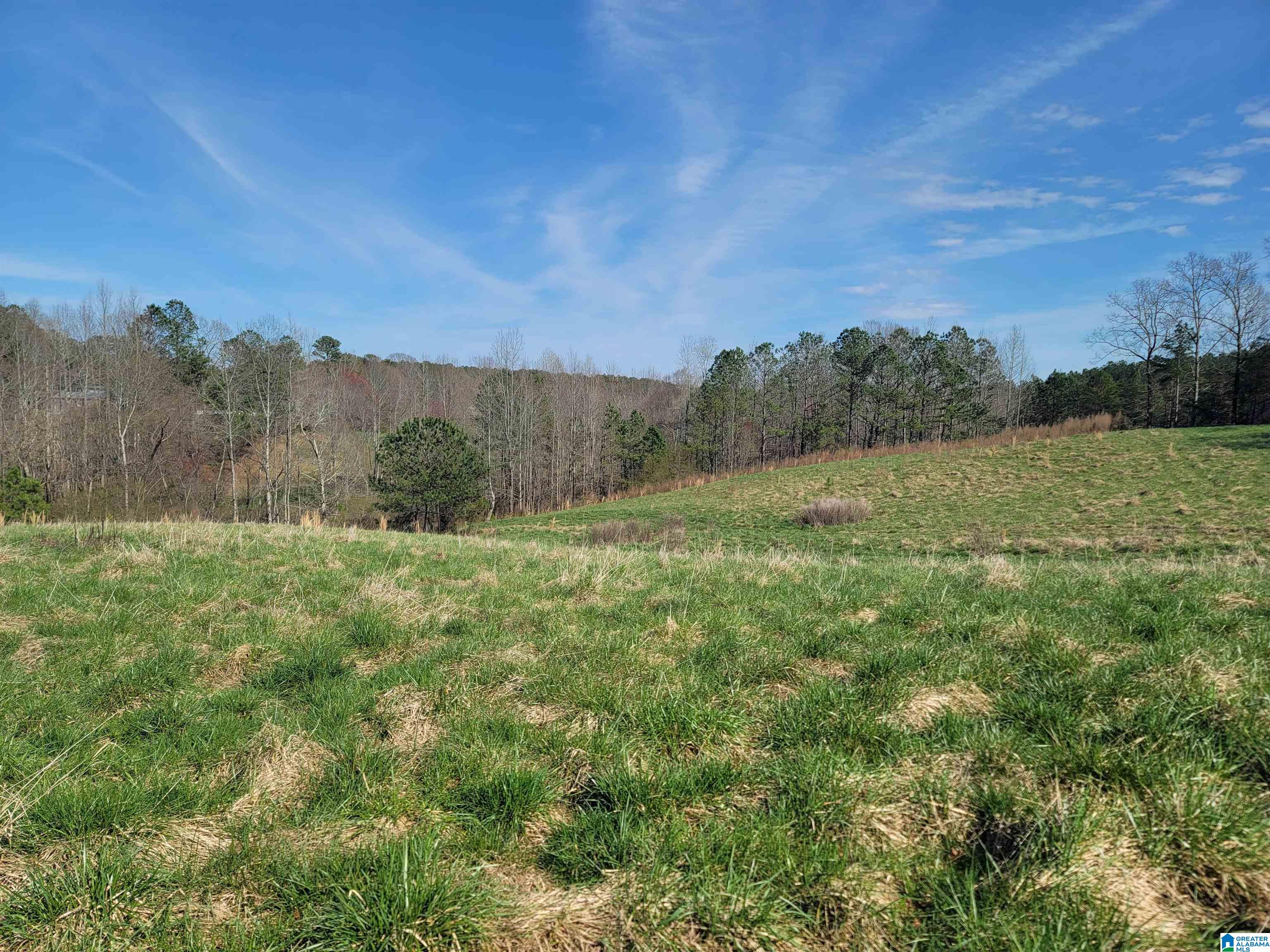 208 County Road, Unit 23 Muscadine, AL 36269 - Photo 10 of 11