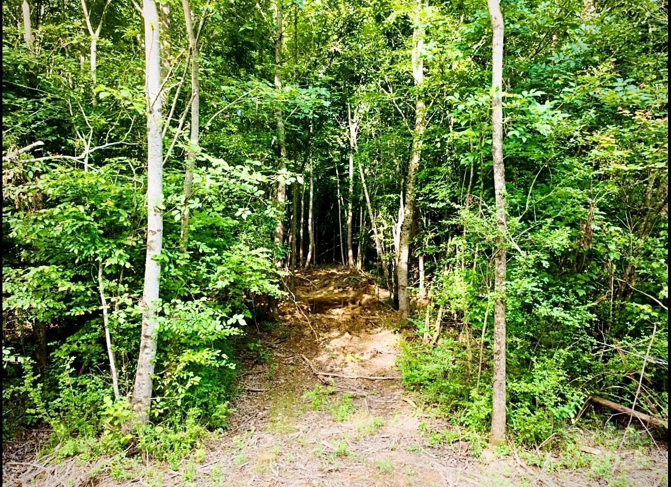 0 Jason Road Seagrove, NC 27341 - Photo 12 of 19 a view of yard