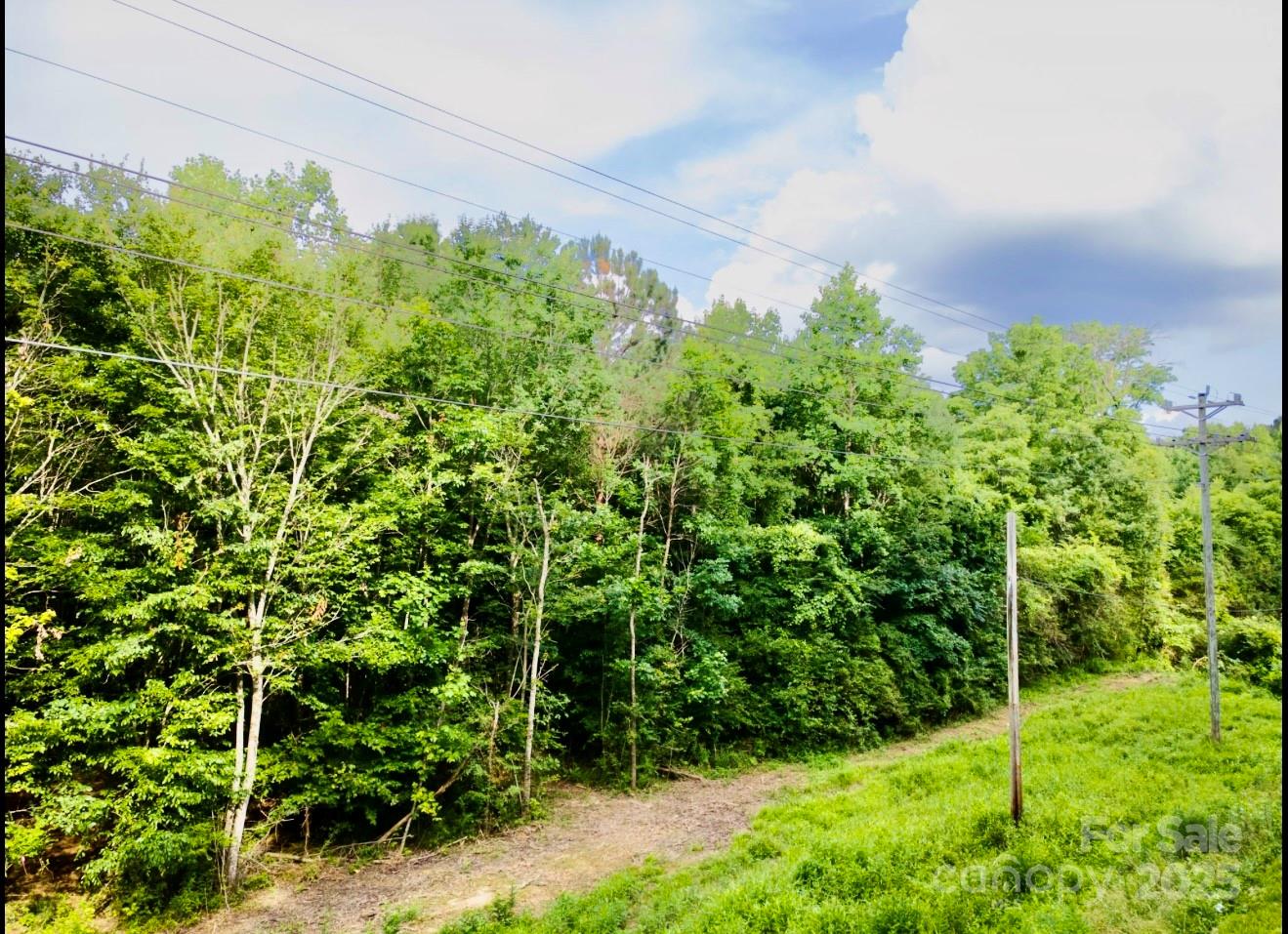 0 Jason Road Seagrove, NC 27341 - Photo 13 of 19 a view of a garden