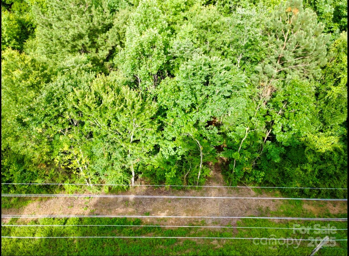 0 Jason Road Seagrove, NC 27341 - Photo 16 of 19 a view of a yard