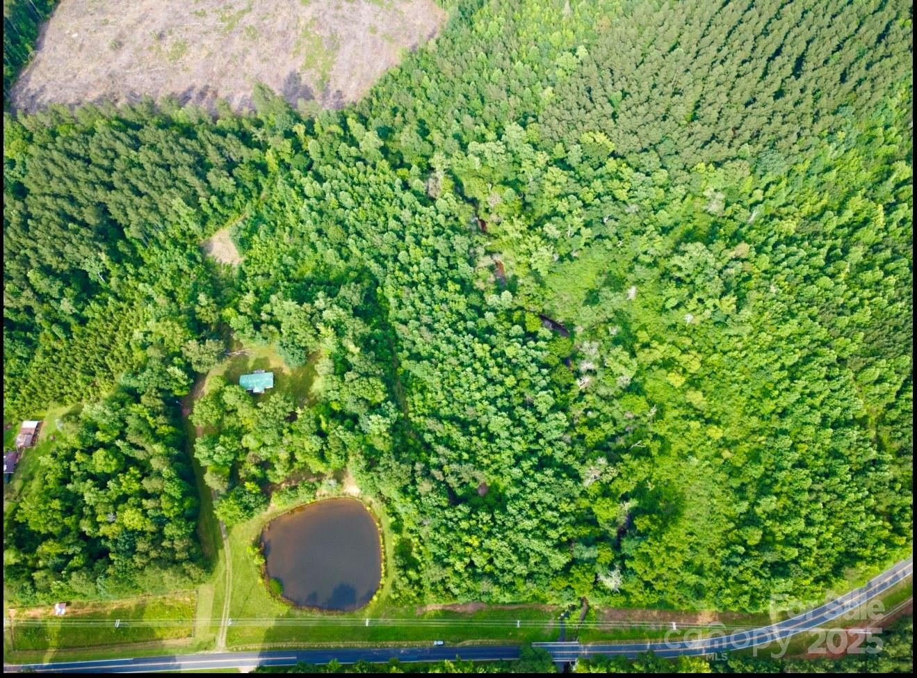 0 Jason Road Seagrove, NC 27341 - Photo 18 of 19 a view of backyard with plants and garden